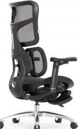 Sihoo Doro S100
